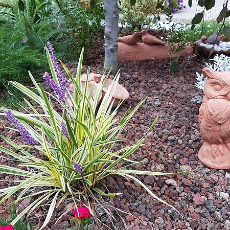 فيلا Nel Giardino Di Dafne ستريزا المظهر الخارجي الصورة